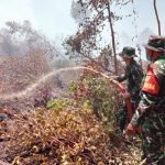 Prajurit Kodim 0413/Bangka Berjibaku Padamkan Api Lahan Gambut yang Terbakar