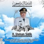 Terjatuh Saat Bermain Bola, Bupati Halsel Meninggal Dunia