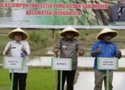 Bupati Bungo Hadiri Tanam Padi Sawah di Dusun Sari Mulya