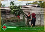 Personil Koramil 1512-03/Gebe Gempur Kantor Desa Kapaleo