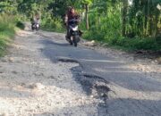 Memilukan, Akses Jalan Masuk Sekolah di Todanan Kondisinya Sangat Mengenaskan