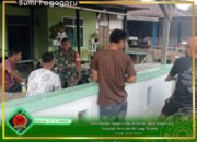Bukti Nyata Kepedulian Babinsa Desa Banemo Kepada Pemuda karang taruna