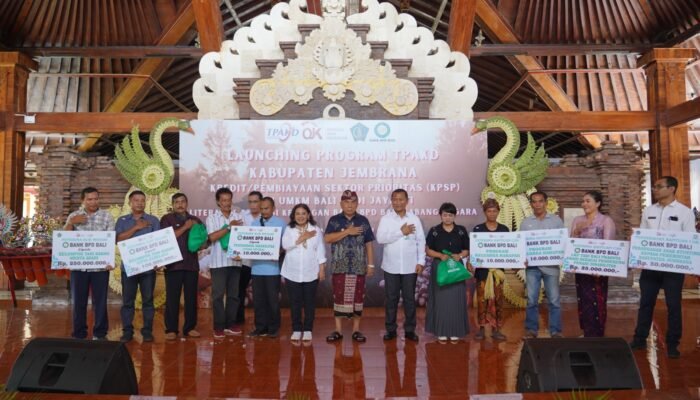 OJK Provinsi Bali Luncurkan Program Tim Percepatan Akses Keuangan Daerah 