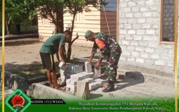 Wujudkan Kemanunggalan TNI Bersama Rakyat, Babinsa Desa Sosowomo Bantu Pembangunan Rumah Warga