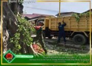 Peduli Terhadap Masyarakat, Babinsa Ramlan Tebang Ranting Pohon yang Menjulur ke Jalan