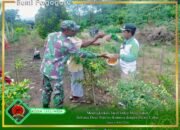 Tingkatkan Taraf Hidup Masyarakat, Babinsa Desa Tepeleo Komsos dengan Petani Cabai