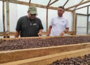 Expat Roasters Berkomitmen Rangkul Petani Kopi Lokal Bali