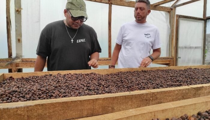 Expat Roasters Berkomitmen Rangkul Petani Kopi Lokal Bali