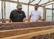 Menjelajahi Dunia Kopi Bersama Expat Roasters Bali