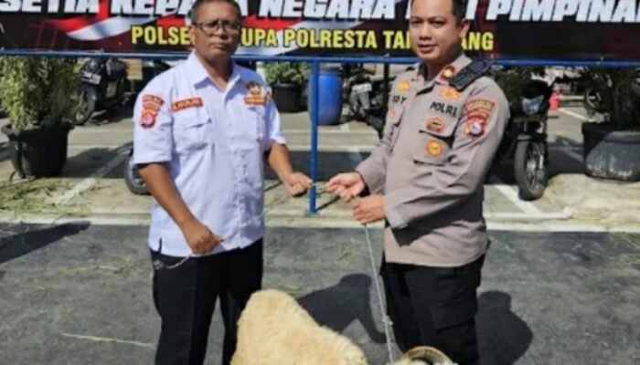 Kapolsek Cikupa Serahkan Hewan Qurban Kepada Ketua Pokdar Kamtibmas Bhayangkara