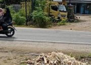 NIB Milik Marolop Simatupang Berbasis Mikro Dipertanyakan