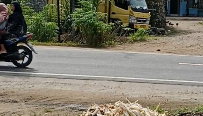 NIB Milik Marolop Simatupang Berbasis Mikro Dipertanyakan