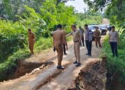 Pj Bupati Tebo Tinjau Jalan Putus di Desa Rimbo Mulyo