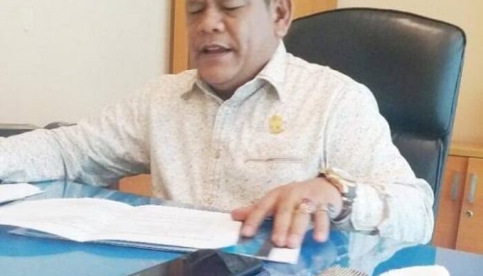 Sampaikan Kabar Bahagia, Victor Silaen: November 2024 Jalan Habornas Akan Direalisasi