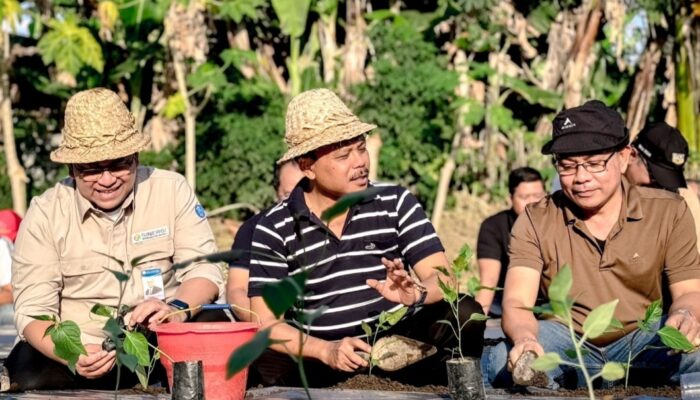 Tekan Laju Inflasi Pangan, Bank Indonesia Dukung Genta Panen Cabai