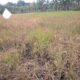 IMG 20240909 WA0009