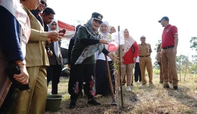 Semarak Babel, 700 Bibit Pohon Ditanam di Sepanjang Aliran Sungai Rangkui