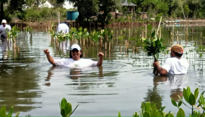 Sindir Pagar Laut, Aktivis Lingkungan: Mitigasi Bencana itu Tanam Mangrove bukan Tanam Pagar