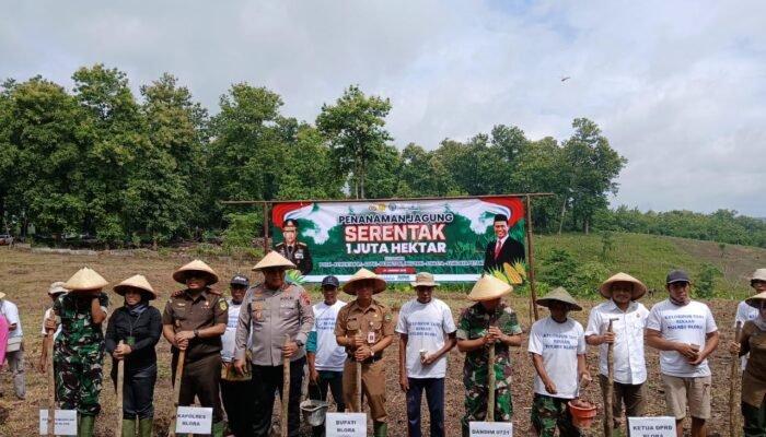 Polres Blora Tanam 490 Hektar Jagung Dukung Ketahanan Pangan