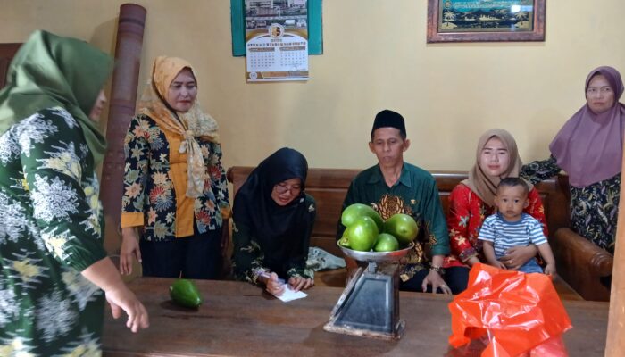 Desa Bicak, Surga Alpukat di Kecamatan Todanan