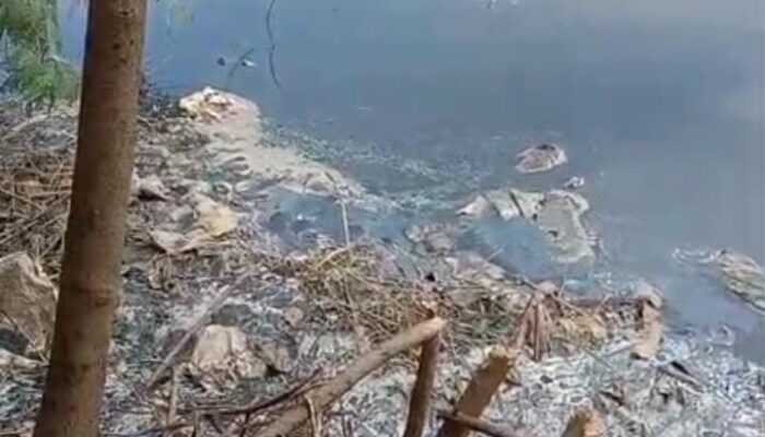 Diduga Tercemar Limbah B3,  Danau di Pasar Kemis Dikuras Warga