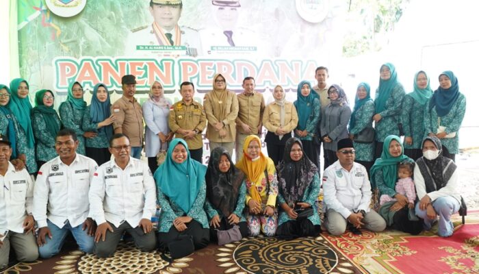 Gubernur Al Haris Tinjau Jalan Sabak-Nipah Panjang dan Panen Perdana Melon Premium di Tanjabtim