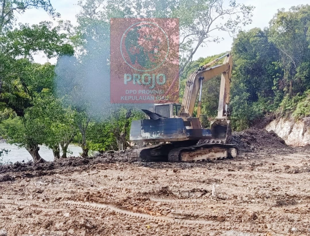 Projo Kepri Minta KLHK dan Polri Usut Reklamasi Diduga Ilegal di Batam 3 IMG 20250715 WA0018 2