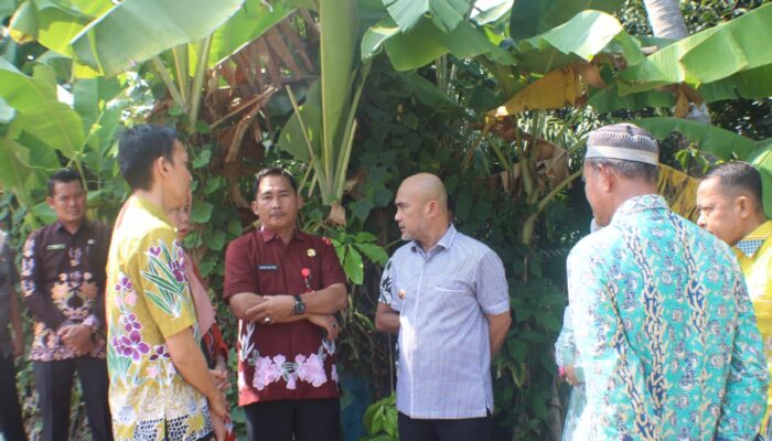 Bupati Bungo Tinjau Pembangunan Transit Super Depo dan Pelebaran Jalan Kota