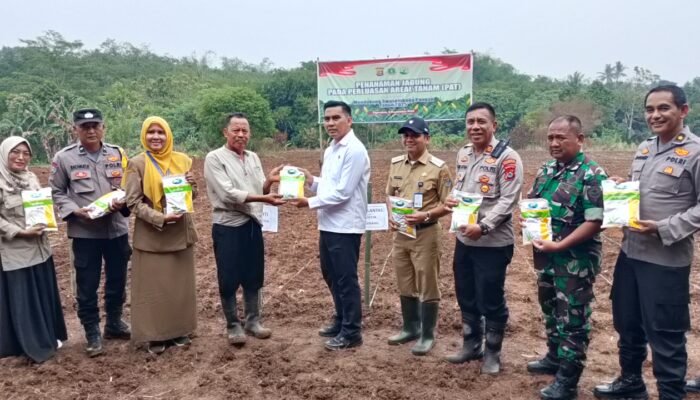 Forkopimcam Tigaraksa dan Polda Banten Tanam Jagung Hibrida Dukung Swasembada Pangan