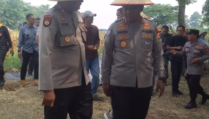 Kapolresta Tangerang Panen Jagung Serentak di Rajeg, Tegaskan Dukung Ketahanan Pangan Nasional