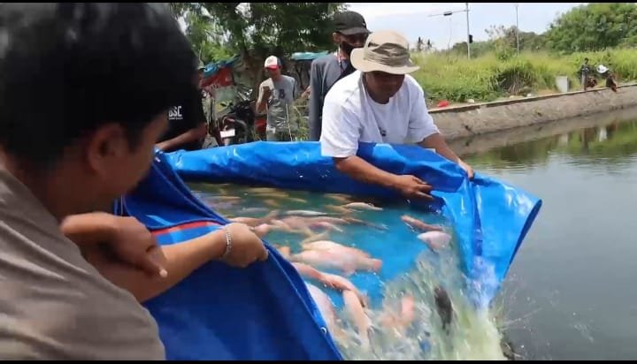 Kapolres Serang Tebar 2.000 Nila Merah di Danau Puspemkab 1 IMG 20251129 WA0019