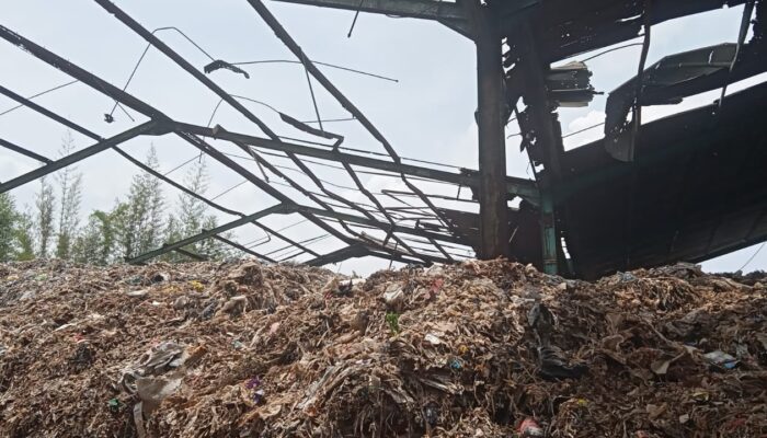 Amphibi Pertanyakan APEC BEST Award 2025 untuk PT Xaviera Global Synergy