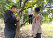 Warga di Sekitar Villa Permata Gelam Jaya, Dikejutkan Seorang Lansia Gantung Diri di Sebuah Pohon