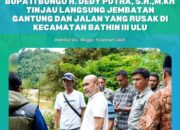 Bupati Bungo Tinjau Jembatan dan Jalan Rusak di Bathin III Ulu