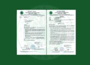 MUI Jambi Serukan Ukhuwah & Toleransi Sambut Ramadhan 1447 H