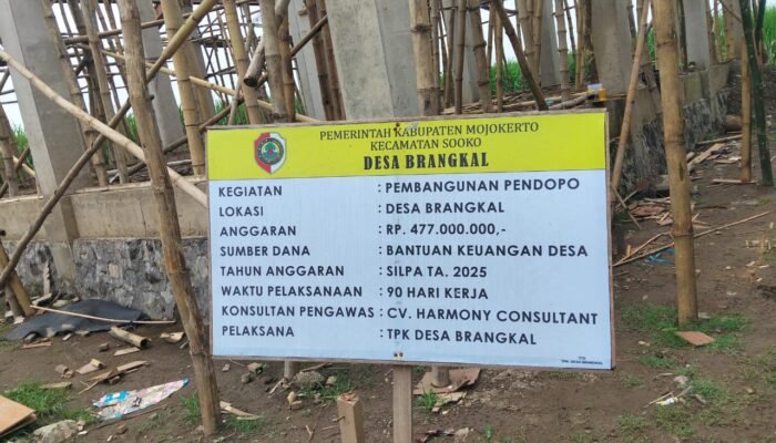 Proyek Pendopo Desa Brangkal Rp477 Juta Disorot, Dugaan Selisih Anggaran Semen Mencuat