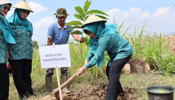 Estafet Hijau PKK Blora: Tanam Pohon di Kesongo Demi Lingkungan Lestari
