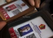 Praperadilan Amir Asnawi: Dugaan Rekayasa Kasus dan Pelanggaran Prosedur Menguak Wajah Hukum