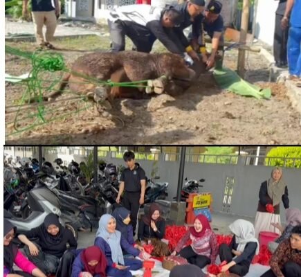 Kejari Pangkalpinang Berkurban, Tebar Kepedulian di Idul Adha