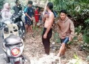 Heboh Penemuan Bayi di Panongan, Ternyata Suara Tangisan Berasal dari Anak Anjing