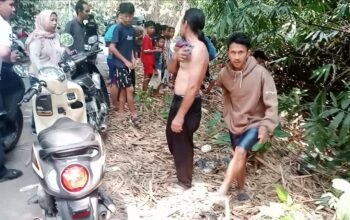 Heboh Penemuan Bayi di Panongan, Ternyata Suara Tangisan Berasal dari Anak Anjing