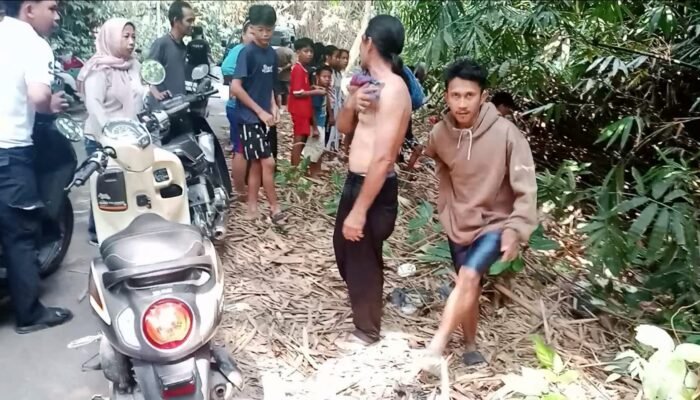 Heboh Penemuan Bayi di Panongan, Ternyata Suara Tangisan Berasal dari Anak Anjing