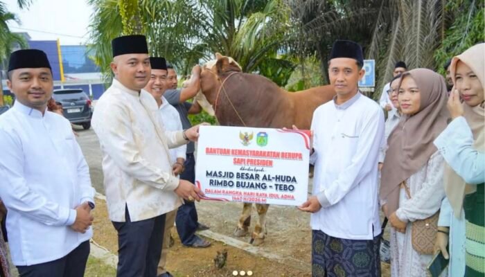 Bupati Tebo Serahkan Sapi Kurban Presiden ke Masjid Al-Huda Rimbo Bujang
