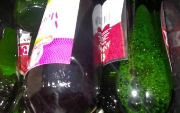 Diduga Tak Jera, Amelia Nada Kembali Manggung di Sindang Jaya, Warga Soroti Dugaan TKC dan Miras