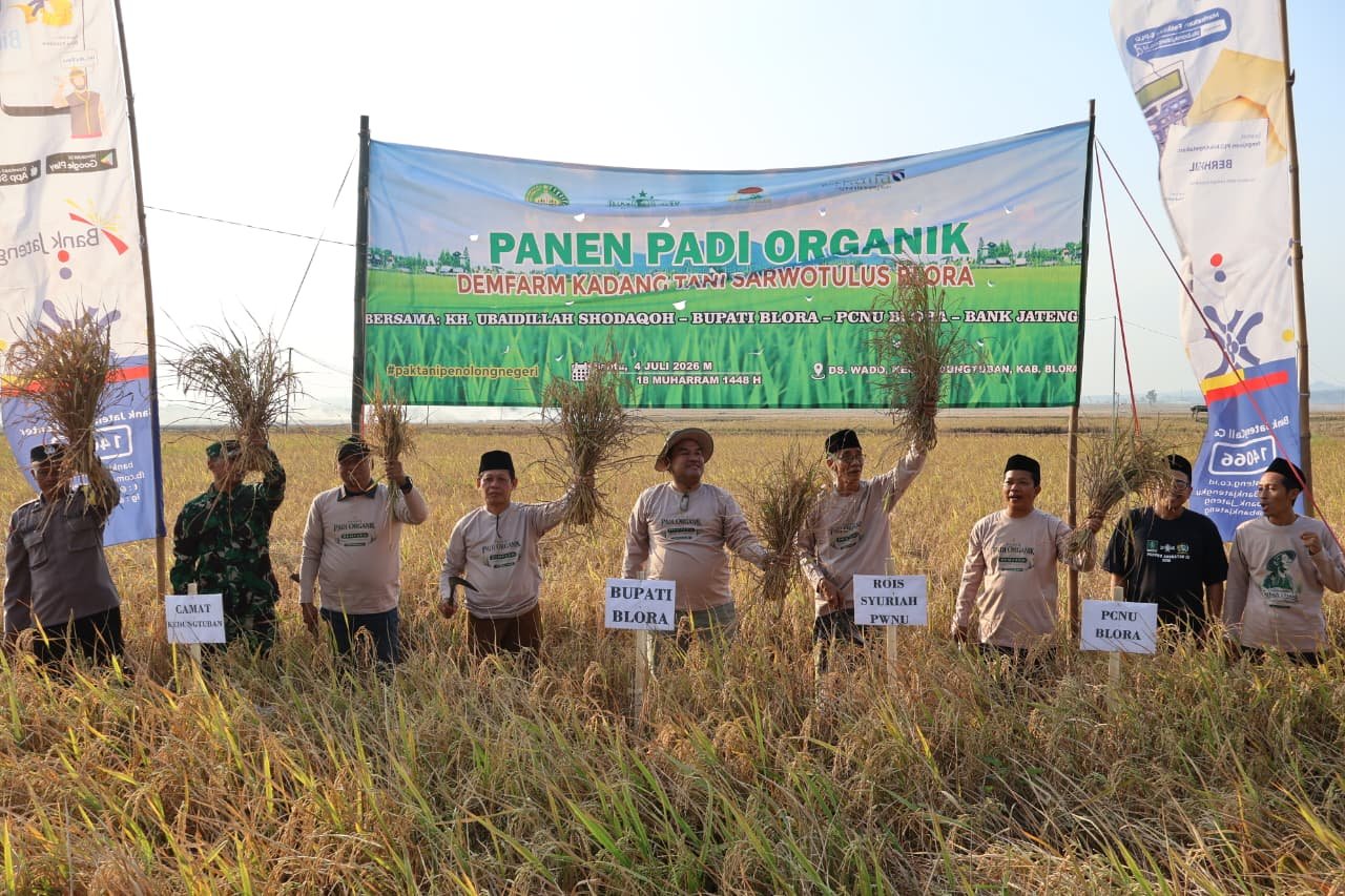 Panen Padi Organik Blora Bikin Bupati Arief Kaget, Hasil Garapan NU Tembus 120 Ton 4 IMG 20260706 WA0048