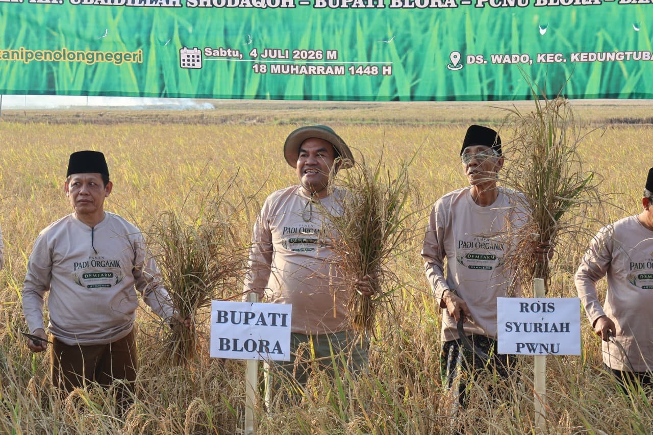 Panen Padi Organik Blora Bikin Bupati Arief Kaget, Hasil Garapan NU Tembus 120 Ton 3 IMG 20260706 WA0049