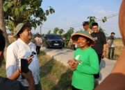 Panen Padi Organik Blora Bikin Bupati Arief Kaget, Hasil Garapan NU Tembus 120 Ton 12 IMG 20260706 WA0050