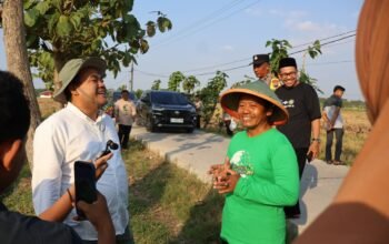 Panen Padi Organik Blora Bikin Bupati Arief Kaget, Hasil Garapan NU Tembus 120 Ton 6 IMG 20260706 WA0050