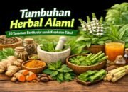 Tumbuhan Herbal Alami: 10 Tanaman Berkhasiat untuk Menjaga Kesehatan Tubuh