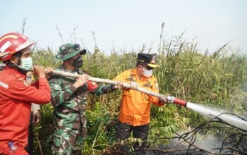 Al Haris Berjibaku Padamkan Karhutla di Pelosok Tanjabtim, Tak Gentar Hadapi Medan Sulit 7 IMG 20260829 WA0026